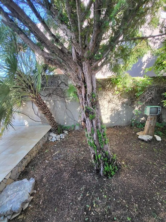 Rustic Home Maslenica Apartamento